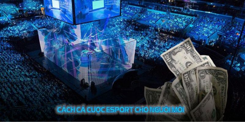 Hướng dẫn quy trình tham gia cược eSports