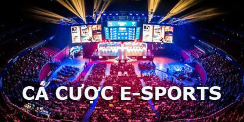 Hướng Dẫn Cá Cược ESports Một Cách Chi Tiết